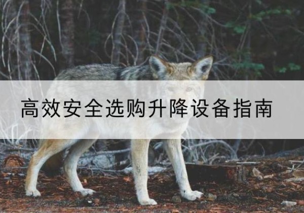 黑山升降货梯厂家推荐-*安全选购升降设备指南