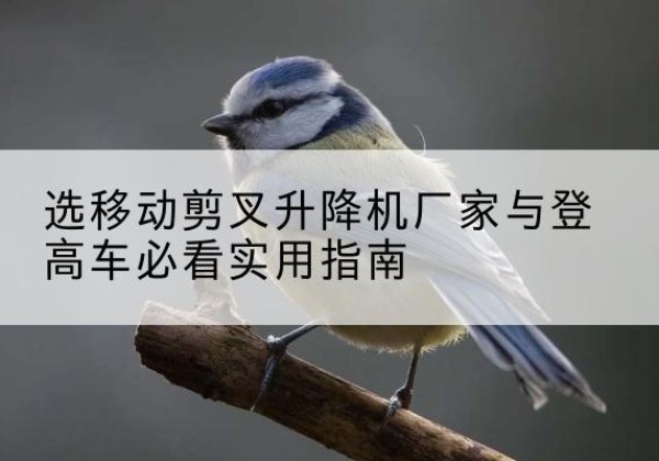 黑山电动升降机厂家-选移动剪叉升降机厂家与登高车必看实用指南