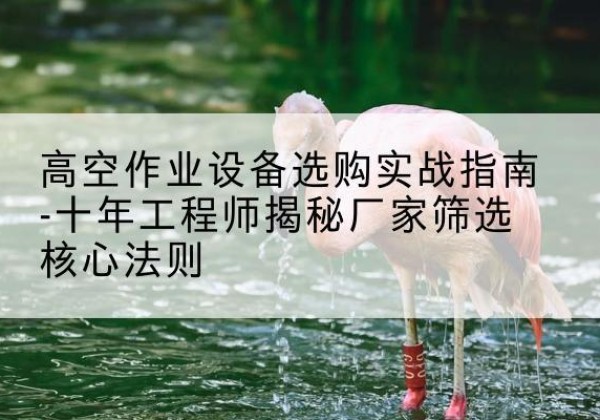 黑山剪叉式升降机厂家-高空作业设备选购实战指南-十年工程师揭秘厂家筛选核心法则